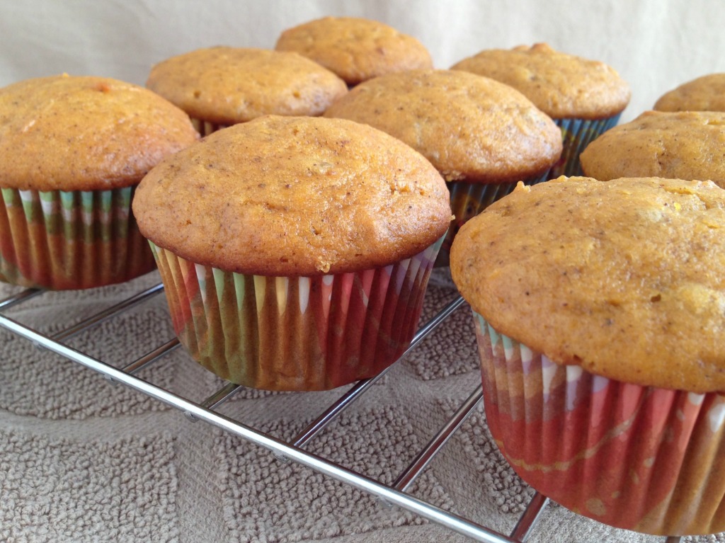 Photo Nov 19, 8 39 29 AM edited